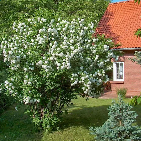 Haus Am Wald 펜션 고렌레빈