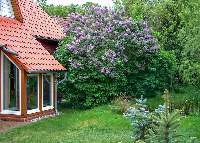 Ferienhaus Haus Am Wald Göhren-Lebbin