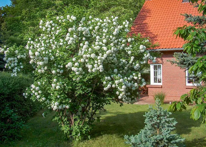 Haus Am Wald Ferienhaus Göhren-Lebbin